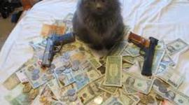 Timeline: American Money