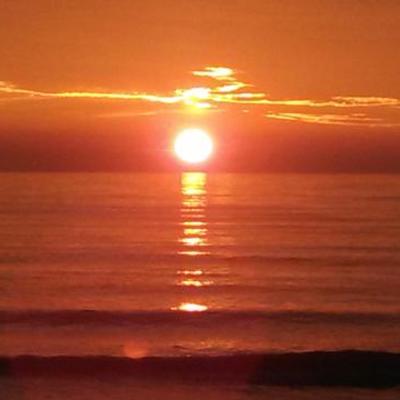 Timeline: US2 Joseph McCarthy related to 2nd Amendment