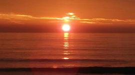 Timeline: US2 Joseph McCarthy related to 2nd Amendment