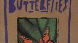 Timeline: In the time of the Butterflies a timeline