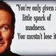 Robin williams