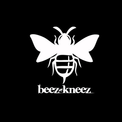 Timeline: sectionalsim timeline by bryan and austin