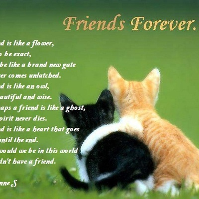 Timeline: Pablo Neruda's life