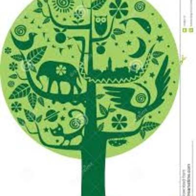 Timeline: Historia de la Ecología