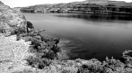 Timeline: The Columbia was Far too Over Fished, and Still is Now