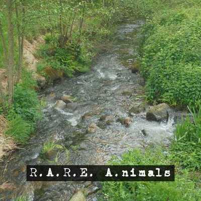 Timeline: A Cleaner Future