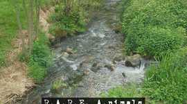 Timeline: A Cleaner Future