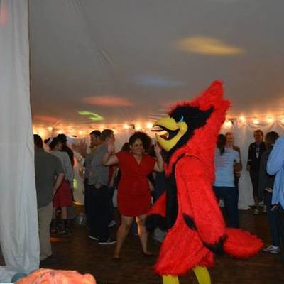 Timeline: CUAA Student Activities 2014-2015