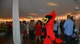 Timeline: CUAA Student Activities 2014-2015