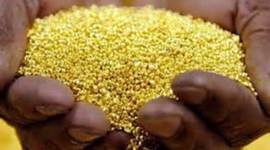 Timeline: Timeline B1