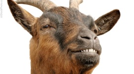 Timeline: William Golding