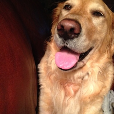 Timeline: The Life of Lily