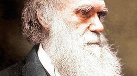 Timeline: The Life of Darwin