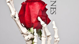 Timeline: The Lovely Bones