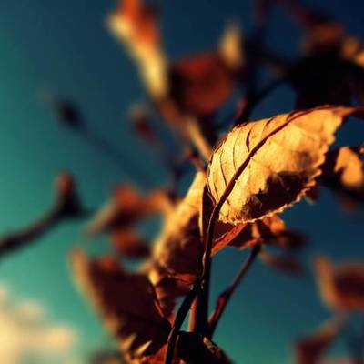 Timeline: La Vida De Jonatan :DDD