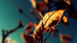 Timeline: La Vida De Jonatan :DDD