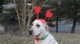 Timeline: Timeline Example