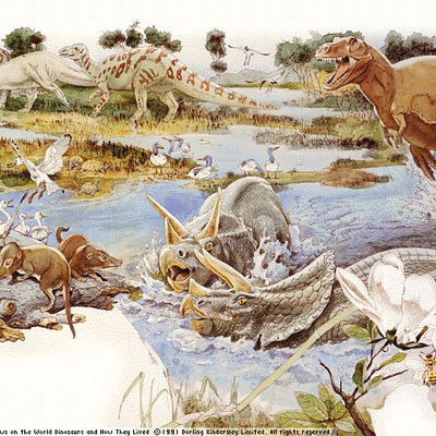 Timeline: Eras Geologicas
