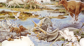 Timeline: Eras Geologicas