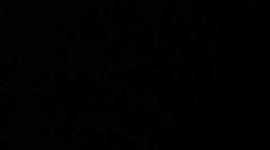 Timeline: Protestas raciales en Estados Unidos