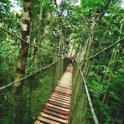 Timeline: Into the Amazon