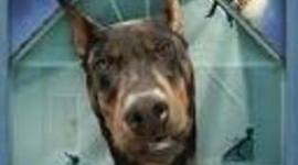 Timeline: Swindle Time Line Kelly Zhang