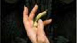 Timeline: DRAGON KEEP  by: Jeanna Baker