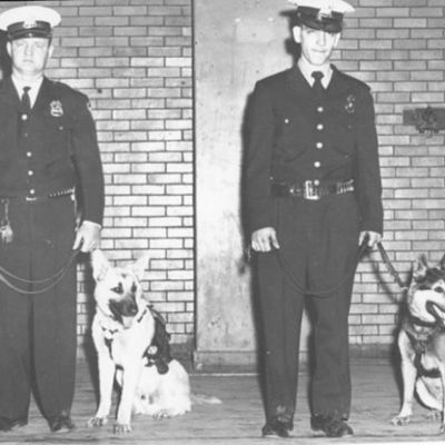 Timeline: History of Police