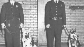 Timeline: History of Police