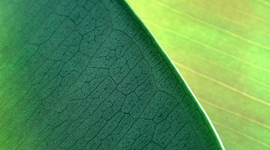 Timeline: Events Related to the Cold War or Middle East Conflict