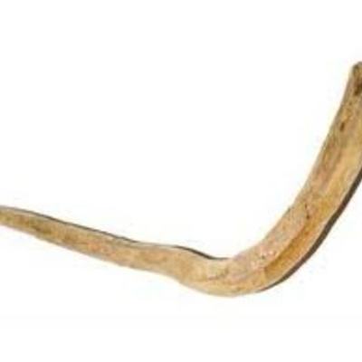 Timeline: История изменения  хоккейной клюшки