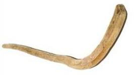 Timeline: История изменения  хоккейной клюшки