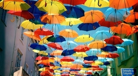 Timeline: First World War