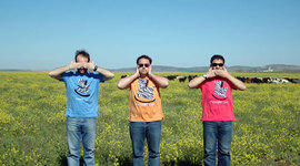 Timeline: Trabajos de Milrayas