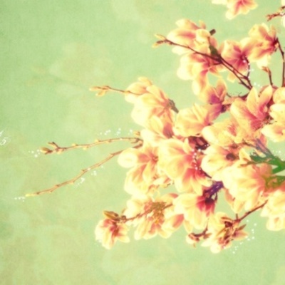 Timeline: Mi linea del tiempo