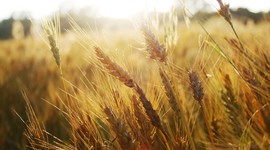 Timeline: Major US Events since 2008