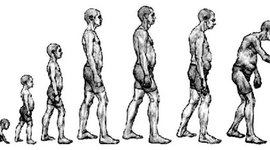 Timeline: Lifespan Project