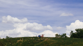 Timeline: Szervezetek véleménye - Liget Budapest