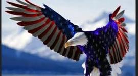 Timeline: What Marijuana Legalization Led To