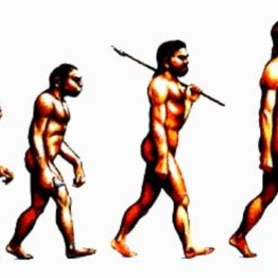 Timeline: Evolutsioon