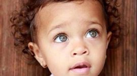 Timeline: Toddler Timeline