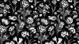 Timeline: civil rights