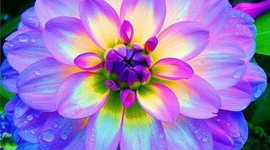 Timeline: vianey malagon