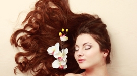 Timeline: La Push Time line