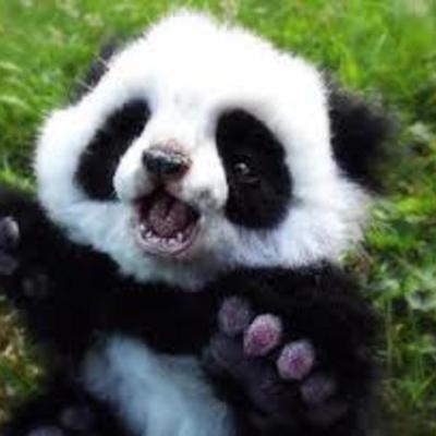 Timeline: The History of Automobiles