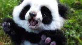 Timeline: The History of Automobiles