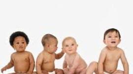 Timeline: Toddler Timeline