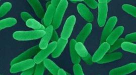 Timeline: Desarrollo histórico de la biología celular