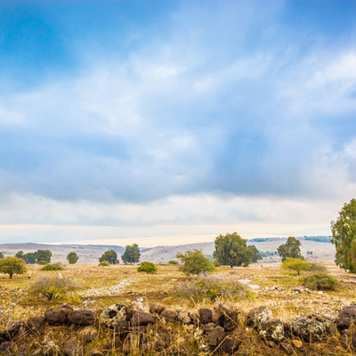 Timeline: Arab Israeli conflict