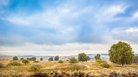 Timeline: Arab Israeli conflict